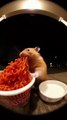 SQUIRREL vs. SPICY RAMEN (He Screamed!)