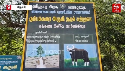கனமழை காரணமாக தொடர் வெள்ளப்பெருக்கு: கும்பக்கரை அருவியில் குளிக்க 10-வது நாளாக தடை!