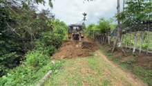 Efficiency of D6R XL Bulldozer Service for Plantation Infrastructure