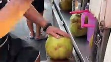 Fresh coconut water just taken out, what does it taste like 🥥🌴