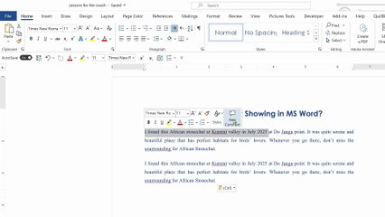 Mini Toolbar is not Showing in MS Word