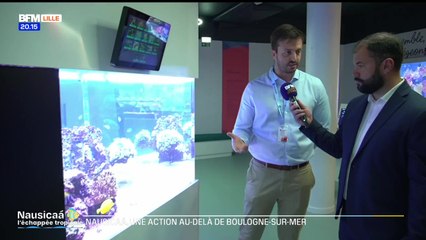 BFM Grand Lille dans les coulisses de la nouvelle exposition de Nausicaa : Depuis Boulogne-sur-Mer, une ouverture sur le monde