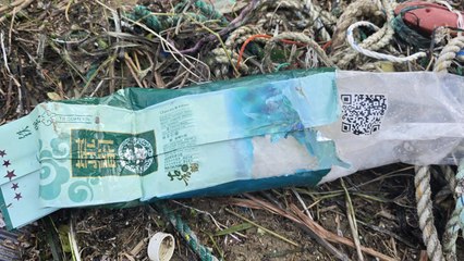 포항 해변서 '중국산 우롱차 위장' 마약 의심 물질 발견 / YTN