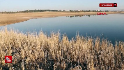 Diyarbakır'da  ‘Kabaklı Göleti son demlerini yaşıyor’
