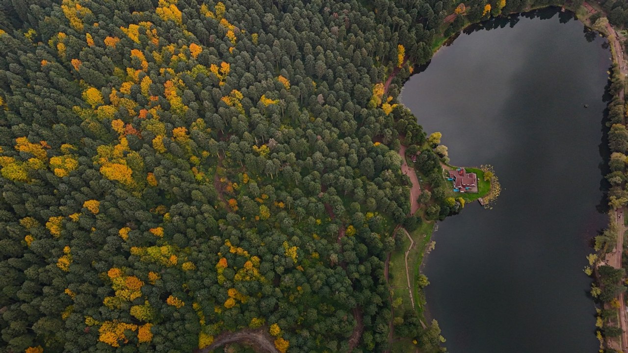 Doğal stüdyoya dönüştü! Sonbaharın tüm güzellikleri bir arada