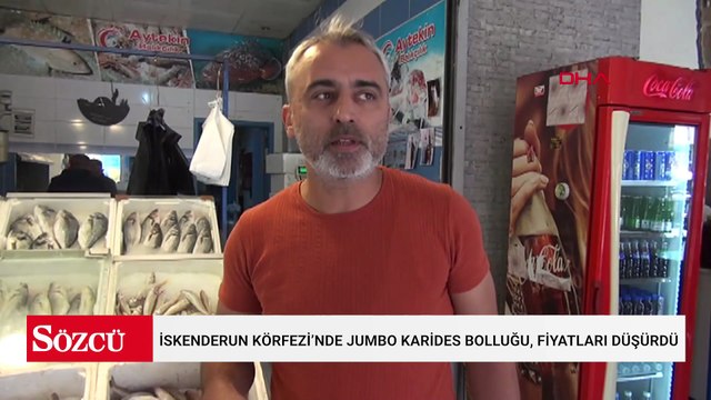 İskenderun Körfezi’nde jumbo karides bolluğu, fiyatları düşürdü