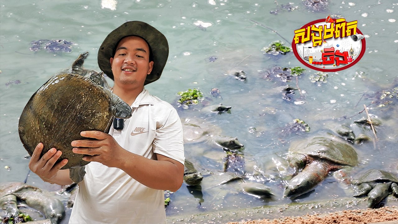 116.កន្ធាយតម្រូវទីផ្សាមិនគ្រប់