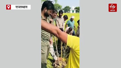 दिवाली पर क्रोकोडाइल का आतंक, शिकार की तलाश में कॉलोनियों में पहुंचे तीन मगरमच्छ