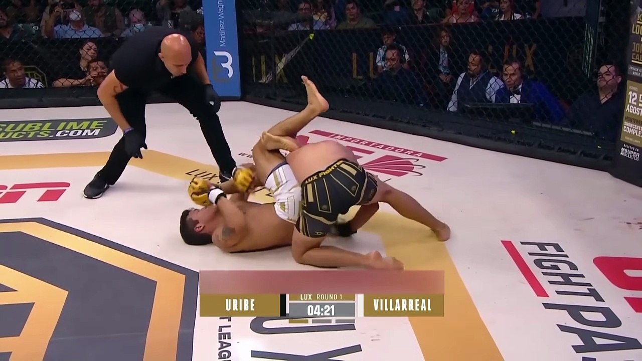 MMA Submissions 2025 Part 39  Most Brutal Tapouts & Submission Finishes