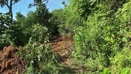 The Old Plantation Road Lost Is Now Revived by the D6R XL Bulldozer