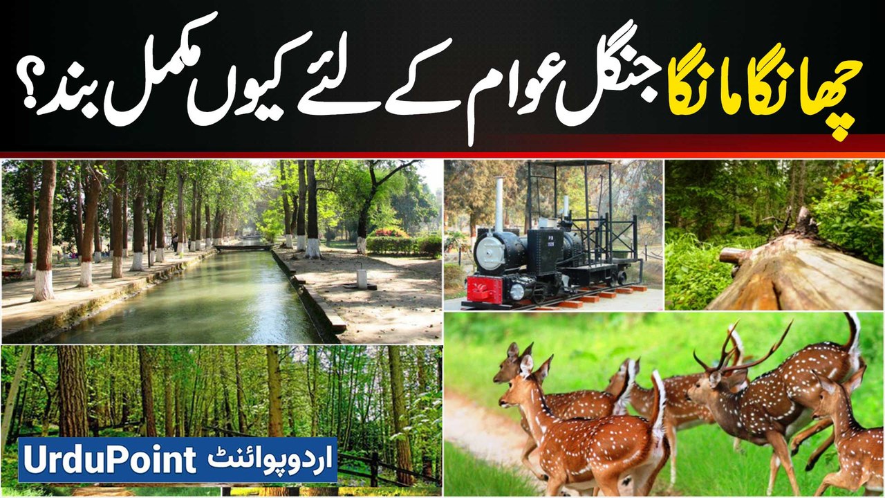 Changa Manga Forest Park Is Temporarily Closed for Development - The Exciting New Upgrades Revealed