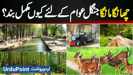 Changa Manga Forest Park Is Temporarily Closed for Development - The Exciting New Upgrades Revealed