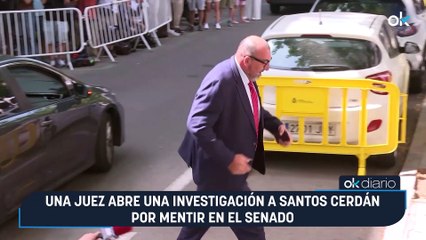 Una juez abre una investigación a Santos Cerdán por mentir en el Senado