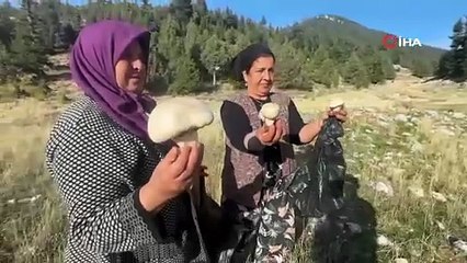 Doğanın içerisinde şifa kayanğı lezzet için iz sürme sezonu başladı