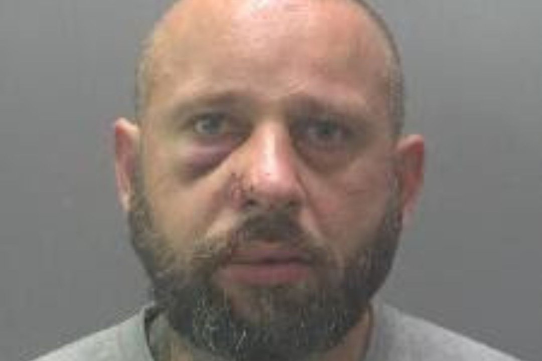 Man tasered after police chase