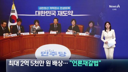 ‘허위조작정보’ 최대 2억 5천만 원 배상…“언론재갈법”