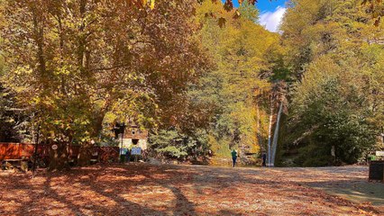 Sonbaharda ayrı güzel! Rengarenk doğada akan şelale