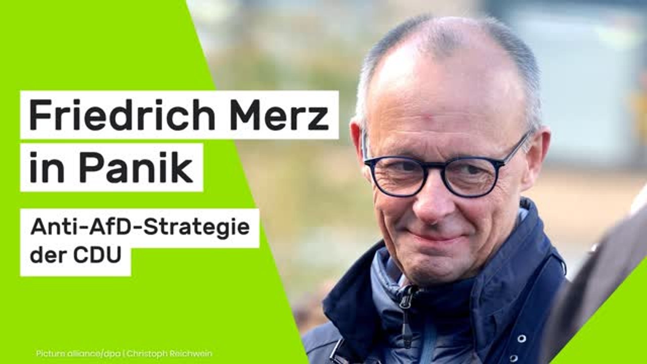 Friedrich Merz in Panik: Anti-AfD-Strategie der CDU - das plant der Kanzler