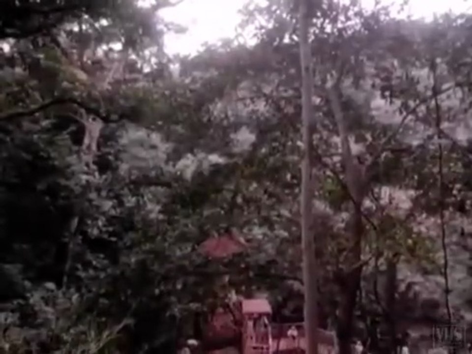 Geheimcode Leopard Trailer DF