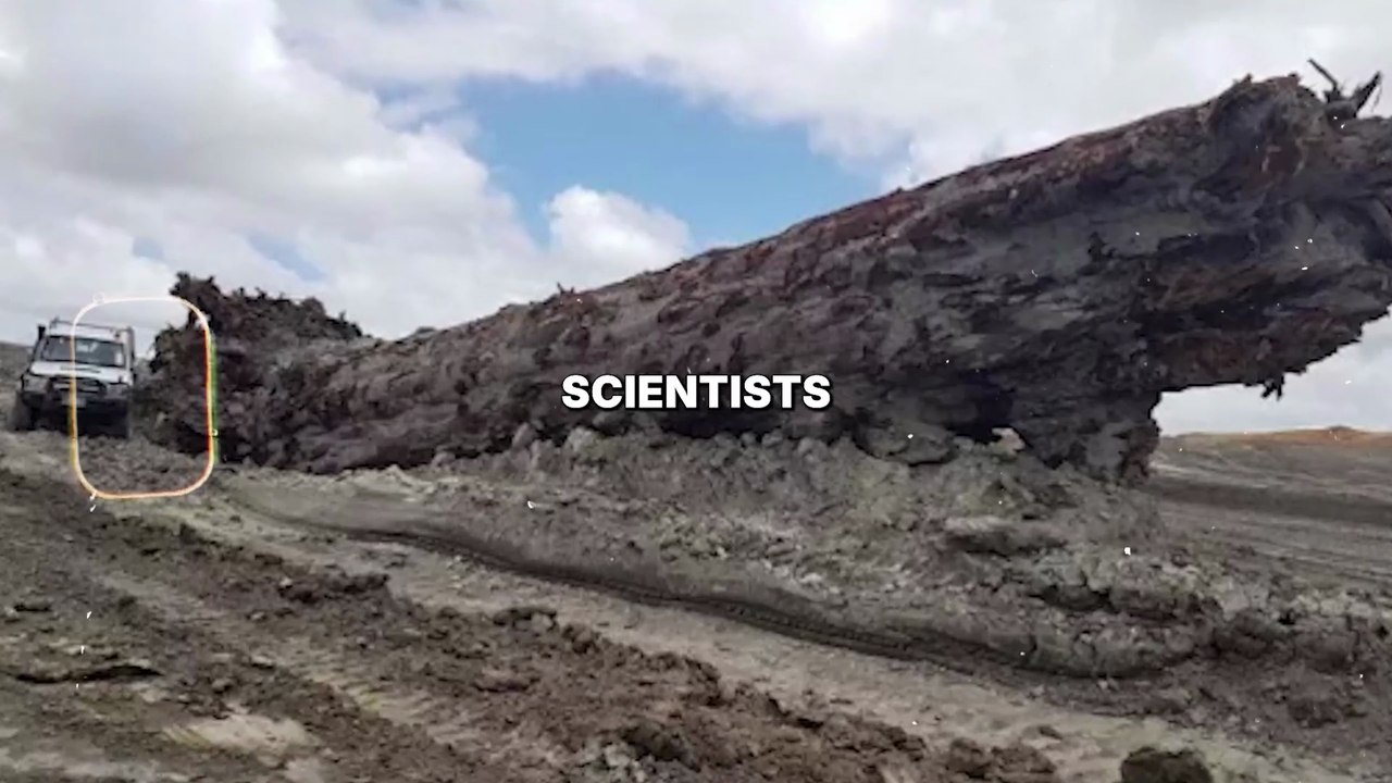 Scientists Found 42000 Year-Old Giant Ancient Tree That Holds A Secret About Earth's History - Narrative (1080p, h264, youtube)