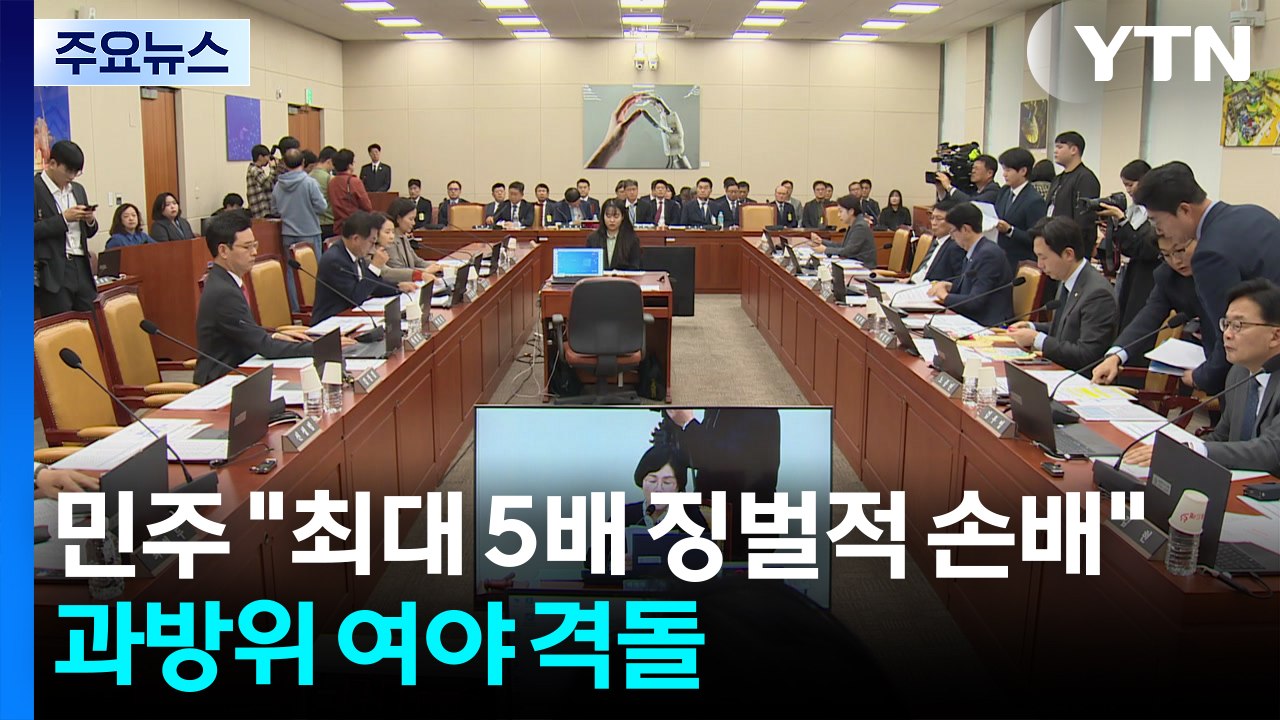 민주 "허위조작정보, 최대 5배 징벌적 손배"...과방위 여야 격돌 / YTN