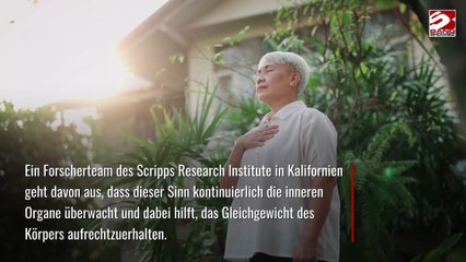 Menschen könnten einen 'sechsten Sinn' besitzen