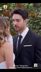 La Virgen Y El Millonario Completo