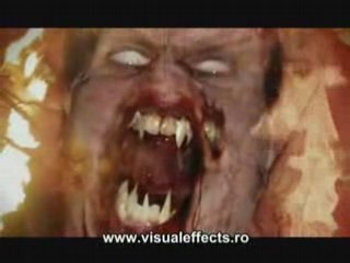 Vidéo   Têtes magnifiques