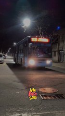 Busografo Rosario: 113 Sessions