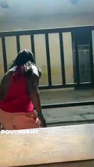 ¡Podría ir a la cárcel! Influencer arriesgó su vida saltando a la jaula de elefantes (Video)