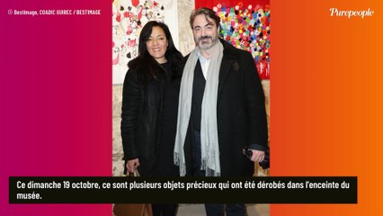 Un descendant de la famille de Napoléon Bonaparte apparaît à la télévision, après le casse au musée du Louvre