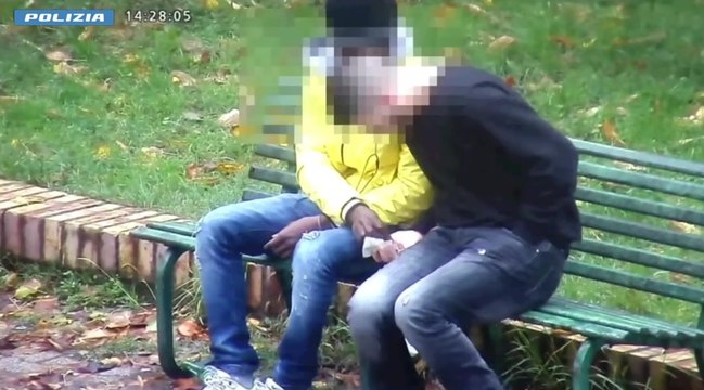 Caserta, blitz antidroga della Polizia: sgominata banda di extracomunitari (20.10.25)