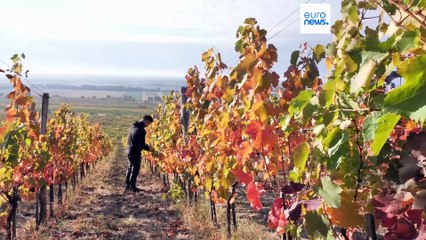 Ειδήσεις | 20 Οκτωβρίου 2025 - Βραδινό δελτίο