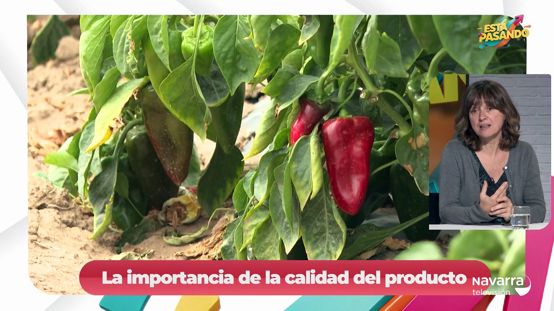 Todas las claves del pimiento del piquillo de Lodosa