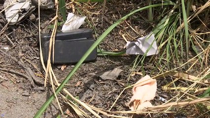 Acidente Trágico na Serra dos Ventos: 17 Vítimas Fatais em Viagem de Trabalho - Relato e Investigação