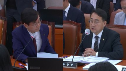 "산림청 '스마트 산불 시스템' 최초 발견율 0.67%" / YTN