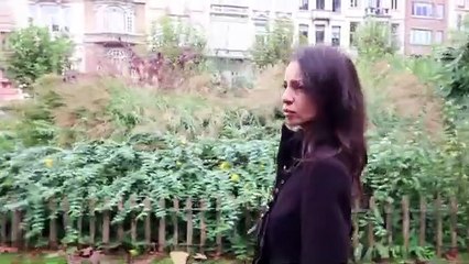 Brunch et Restaurant