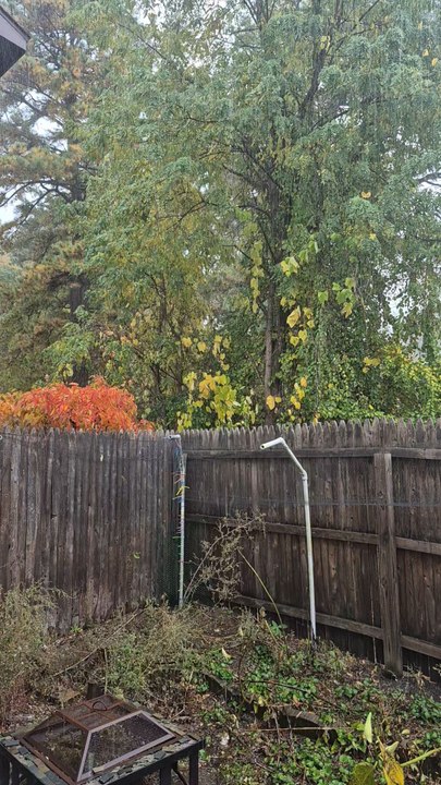 Cool Rain, 10/20/2025