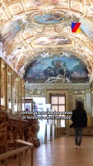 Cambriolage au Louvre : "Je suis agent de surveillance de nuit au musée" | REPORTAGE