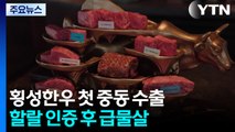 '한우' 첫 중동 수출...할랄 인증 후 급물살 / YTN