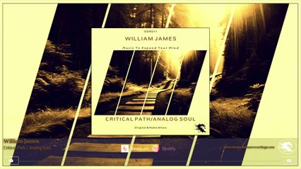 DSR511 William James - Critical Path • Deepsessions Recordings