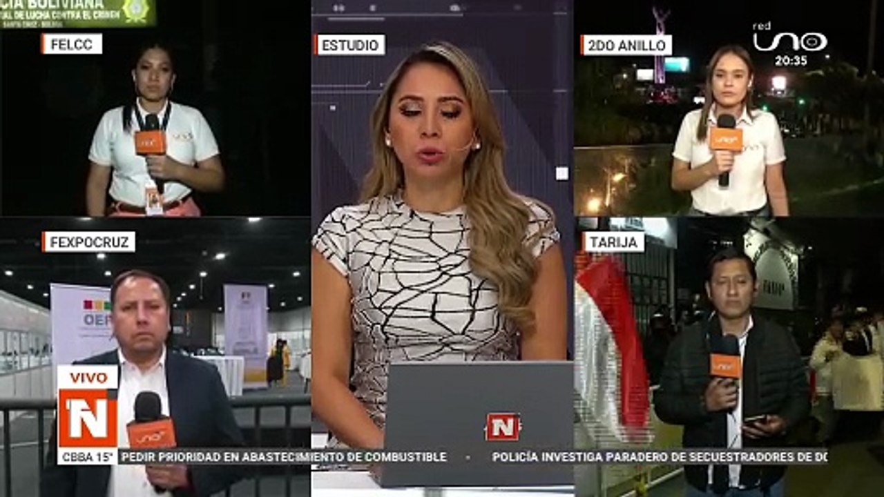 CAE BRASILEÑO CON SELLO ROJO