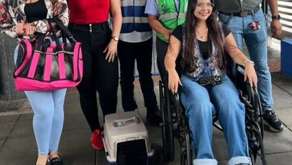 MiBus permite ingreso de mascotas en jaulas o maletas especiales