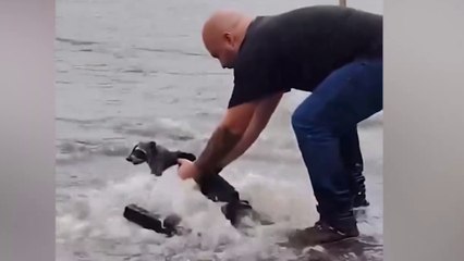 tn7-Video--Rescatan-mapache-atrapado-en-media-inundación-201025