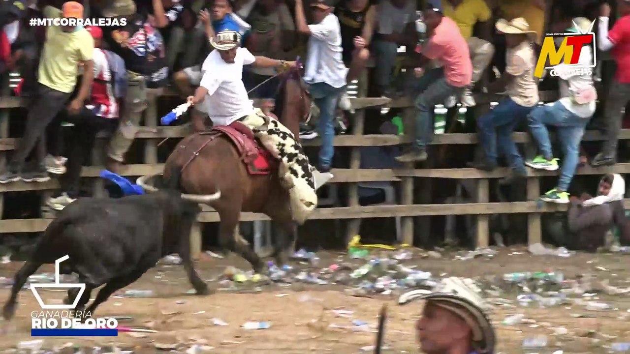 Corralejas Sincé 2025 | Toros de Hector G. Garrido