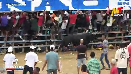 Corralejas San Cayetano 2025 | Toros de Luis C. Oviedo