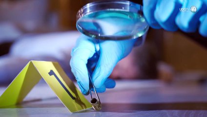 Policías de Zapopan pidieron 10 mil pesos para no detener a una mujer, ya están vinculados a proceso