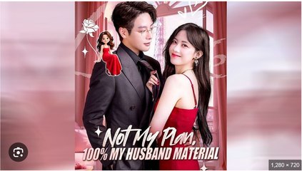 Not My Plan 100% My Husband Material