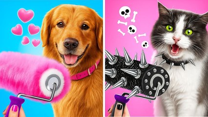 On construit une pièce secrète pour nos animaux !🐶😻 Chat VIP vs Chien fauché 😂🏠