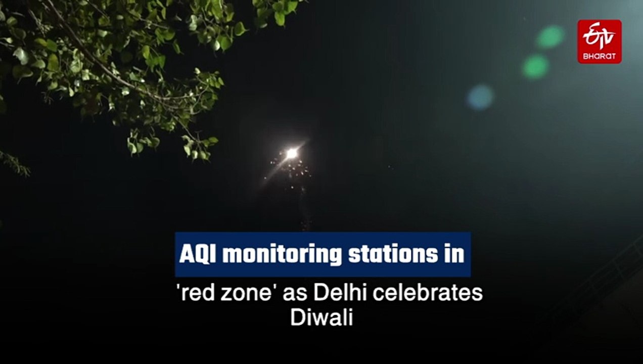 Delhi Fire Services Gets 269 Calls On Diwali Night, No Major Mishap